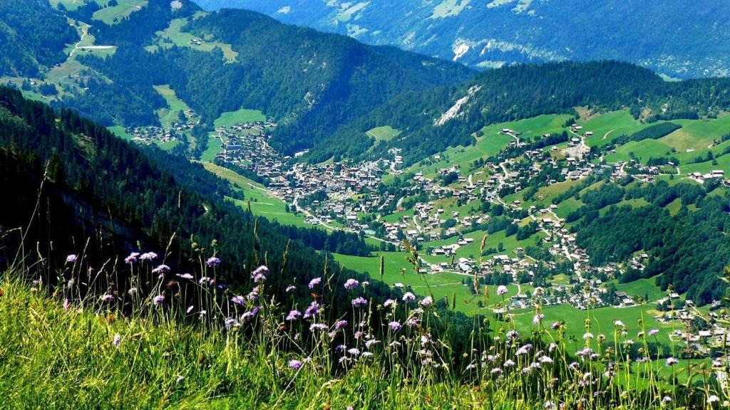 Résidence - Les Grandes Alpes Appart hôtel