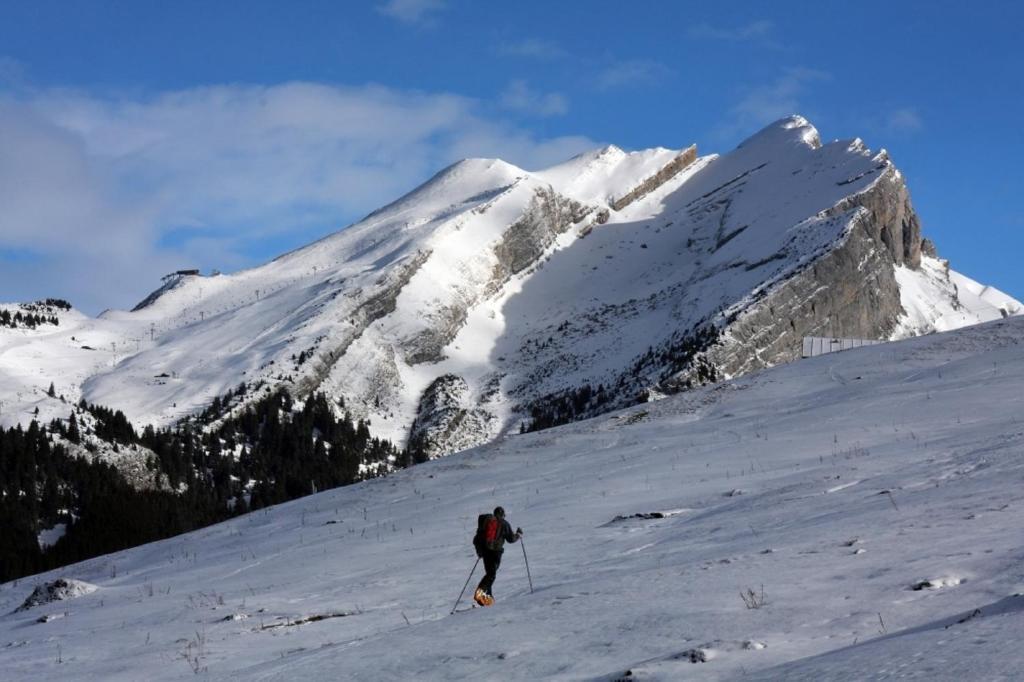 Résidence - Les Grandes Alpes Appart hôtel 4*